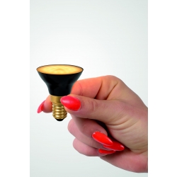 BULB G45 49098/05/30